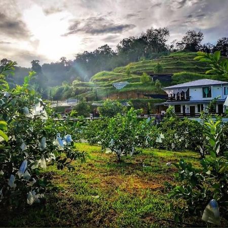 I Do Farmstay Bukit Mertajam Ngoại thất bức ảnh